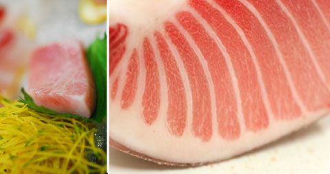 Cách chế biến món bụng cá ngừ nướng